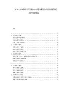 2025-2030軟件開發行業市場分析需求評估規劃前景研究報告