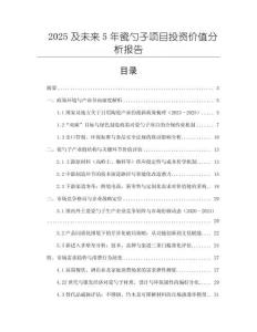 2025及未來5年瓷勺子項目投資價值分析報告