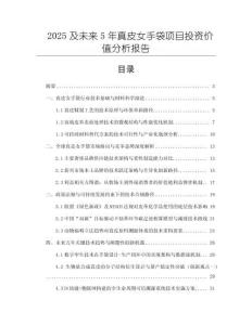 2025及未來5年真皮女手袋項目投資價值分析報告