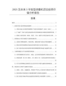 2025及未來5年輕型球磨機項目投資價值分析報告