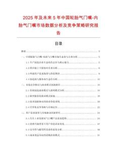 2025年及未來5年中國輪胎氣門嘴-內胎氣門嘴市場數據分析及競爭策略研究報告