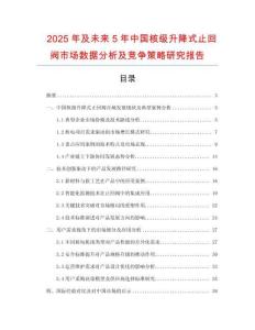 2025年及未來5年中國核級升降式止回閥市場數(shù)據(jù)分析及競爭策略研究報(bào)告