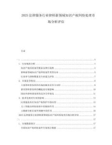 2025法律服務(wù)行業(yè)律師新領(lǐng)域知識產(chǎn)權(quán)糾紛處理市場分析評估