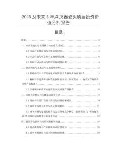 2025及未來5年點火器瓷頭項目投資價值分析報告