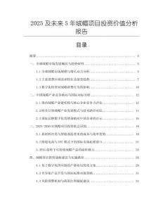 2025及未來5年絨帽項目投資價值分析報告