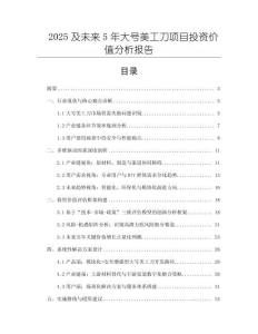 2025及未來(lái)5年大號(hào)美工刀項(xiàng)目投資價(jià)值分析報(bào)告