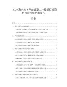 2025及未来5年普通型二冲程铆钉机项目投资价值分析报告