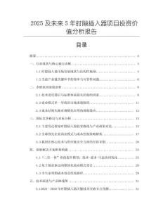 2025及未來5年時隙插入器項目投資價值分析報告