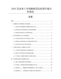 2025及未來5年熱腳板項目投資價值分析報告