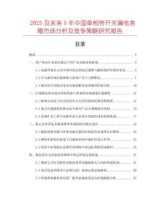 2025及未來5年中國單相帶開關(guān)漏電表箱市場分析及競爭策略研究報告