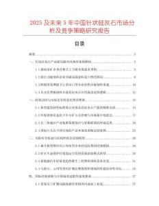 2025及未来5年中国针状硅灰石市场分析及竞争策略研究报告