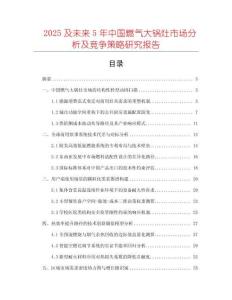 2025及未來5年中國燃氣大鍋灶市場分析及競爭策略研究報告
