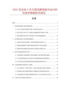 2025及未来5年中国电解银板市场分析及竞争策略研究报告