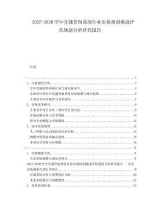 2025-2030空中交通管制系统行业市场规划挑战评估规划分析研究报告