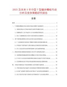 2025及未來5年中國T型撞塊槽板市場分析及競爭策略研究報告
