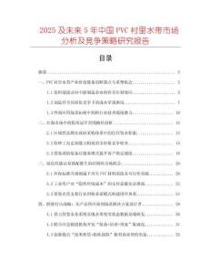 2025及未來5年中國PVC襯里水帶市場分析及競爭策略研究報告