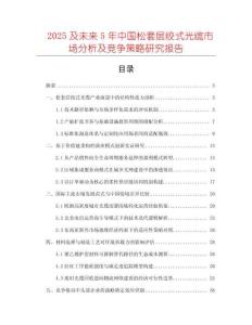 2025及未來(lái)5年中國(guó)松套層絞式光纜市場(chǎng)分析及競(jìng)爭(zhēng)策略研究報(bào)告