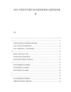 2025中國光纖光纜行業市場發展現狀與投資前景規劃