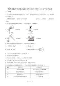 2025-2026學年湖北省武漢市硚口區九年級（上）期中化學試卷（含答案）