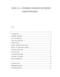 2025Bilibili彈幕視頻行業現狀供需分析及投資評估規劃分析研究報告