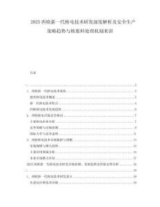 2025西歐新一代核電技術(shù)研發(fā)深度解析及安全生產(chǎn)策略趨勢與核廢料處理機制來講