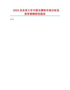 2025及未來5年中國支撐體市場分析及競爭策略研究報告