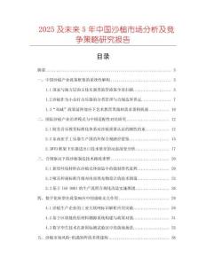 2025及未来5年中国沙槌市场分析及竞争策略研究报告