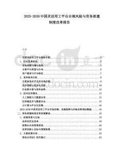 2025-2030中國靈活用工平臺合規風險與勞務派遣制度改革報告