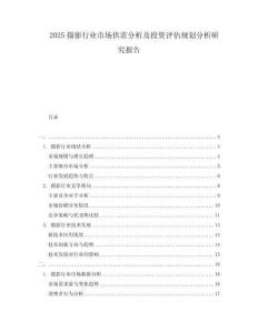 2025攝影行業(yè)市場(chǎng)供需分析及投資評(píng)估規(guī)劃分析研究報(bào)告