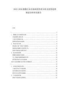 2025-2030攝像行業(yè)市場(chǎng)現(xiàn)狀供需分析及投資趨勢(shì)規(guī)劃分析研究報(bào)告
