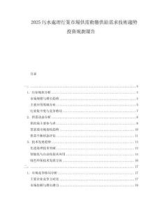 2025污水處理行業(yè)市場供需動態(tài)供給需求技術(shù)趨勢投資規(guī)劃報告