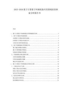 2025-2030量子计算量子纠缠现象应用领域前景探索分析报告书
