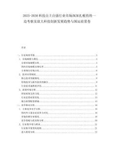 2025-2030科技自立自強(qiáng)行業(yè)市場(chǎng)深深扎根的的一邊考察及放大科技創(chuàng)新發(fā)展趨勢(shì)與國(guó)運(yùn)前景卷