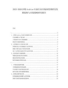 2025-2030沙特Arabian石油行業(yè)市場深度調(diào)研及發(fā)展趨勢與市場策略研究報告