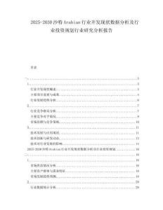 2025-2030沙特Arabian行業(yè)開發(fā)現(xiàn)狀數(shù)據(jù)分析及行業(yè)投資規(guī)劃行業(yè)研究分析報告