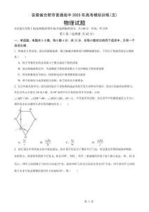 2025屆安徽省普通高中高三下學(xué)期高考模擬訓(xùn)練(五)物理試題-A4