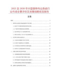 2025至2030年中國鋼帶傳動系統(tǒng)行業(yè)市場全景評估及發(fā)展戰(zhàn)略規(guī)劃報告