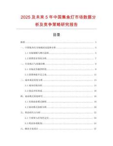 2025及未來5年中國集魚燈市場數(shù)據(jù)分析及競爭策略研究報告