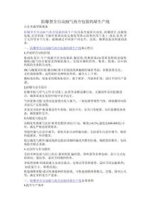 防爆型全自動抽氣熱合包裝碼垛生產線