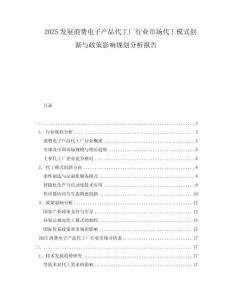 2025發展消費電子產品代工廠行業市場代工模式創新與政策影響規劃分析報告