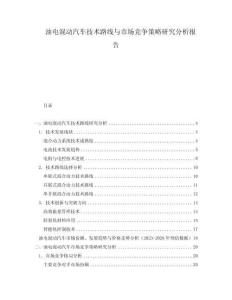 油电混动汽车技术路线与市场竞争策略研究分析报告