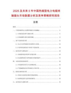 2025及未来5年中国热缩型电力电缆终端接头市场数据分析及竞争策略研究报告