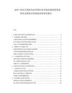 2025-2030比利時電動牙刷行業(yè)市場發(fā)展趨勢供需研究及投資評估規(guī)劃分析研究報告