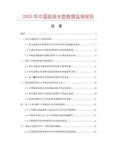 2025年中國笛音水壺?cái)?shù)據(jù)監(jiān)測(cè)報(bào)告