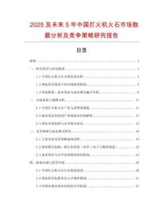 2025及未來(lái)5年中國(guó)打火機(jī)火石市場(chǎng)數(shù)據(jù)分析及競(jìng)爭(zhēng)策略研究報(bào)告
