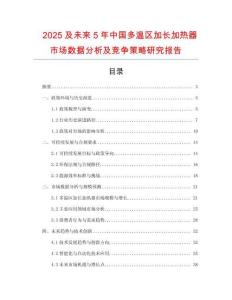 2025及未來5年中國多溫區(qū)加長加熱器市場數(shù)據(jù)分析及競爭策略研究報告