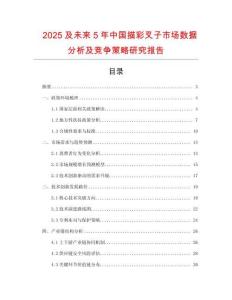 2025及未來5年中國描彩叉子市場數(shù)據(jù)分析及競爭策略研究報告