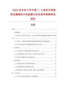 2025及未來5年中國1／3迷你半球型彩色攝像機市場數據分析及競爭策略研究報告