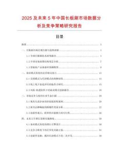 2025及未来5年中国长板刷市场数据分析及竞争策略研究报告