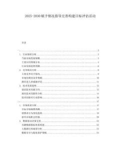 2025-2030賦予情況指導(dǎo)完善構(gòu)建目標(biāo)評(píng)估活動(dòng)